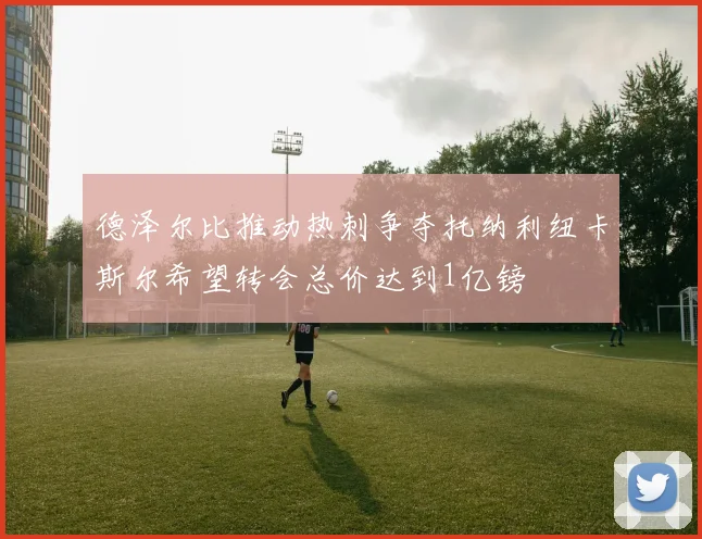 德泽尔比推动热刺争夺托纳利纽卡斯尔希望转会总价达到1亿镑